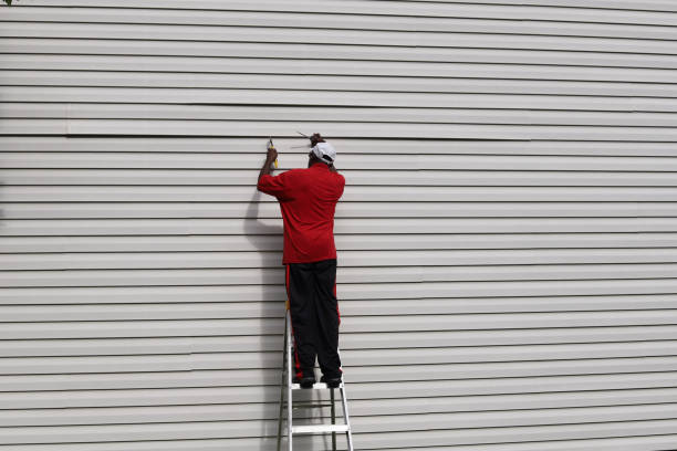 Best Steel Siding Installation  in Lexington, OH